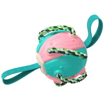 Bola Frisbee Para Cães Mimus