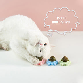 Bola de parede para gatos Catnip